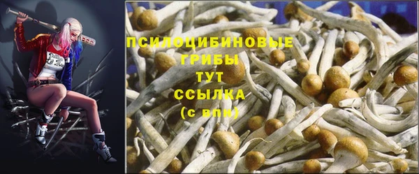 ГАЛЛЮЦИНОГЕННЫЕ ГРИБЫ Нефтекумск