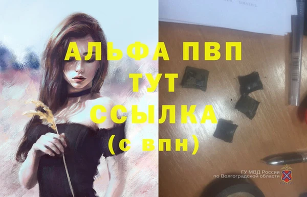 ГАЛЛЮЦИНОГЕННЫЕ ГРИБЫ Нея