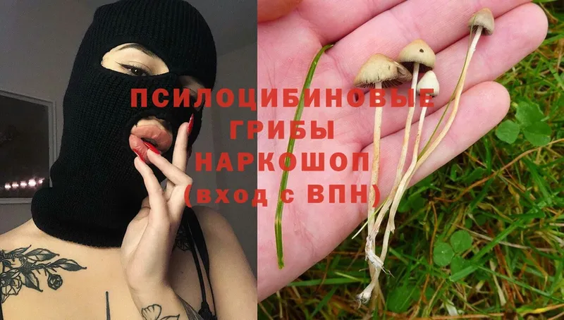 Псилоцибиновые грибы MAGIC MUSHROOMS  что такое наркотик  Сосновка 